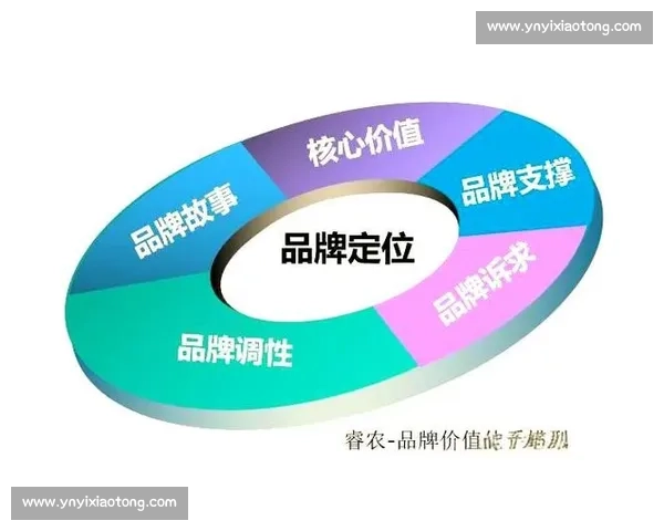 打造品牌影响力，提升市场竞争力的全方位推广策略与实战技巧